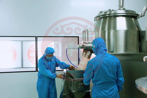 山東國(guó)和堂投資2000萬建立健康飲品生產(chǎn)線