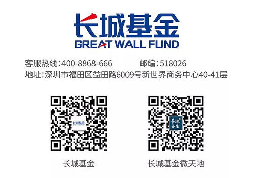 長城新優(yōu)選混合基金