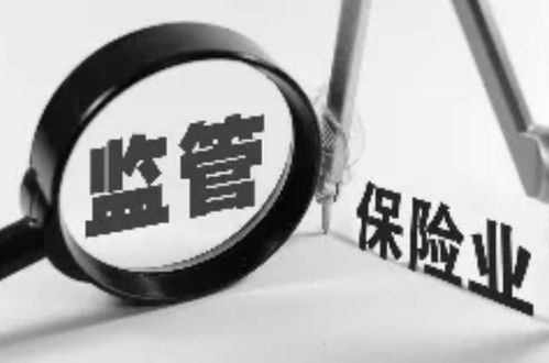 保險(xiǎn)資產(chǎn)管理公司的資產(chǎn)管理 角色、挑戰(zhàn)與發(fā)展趨勢